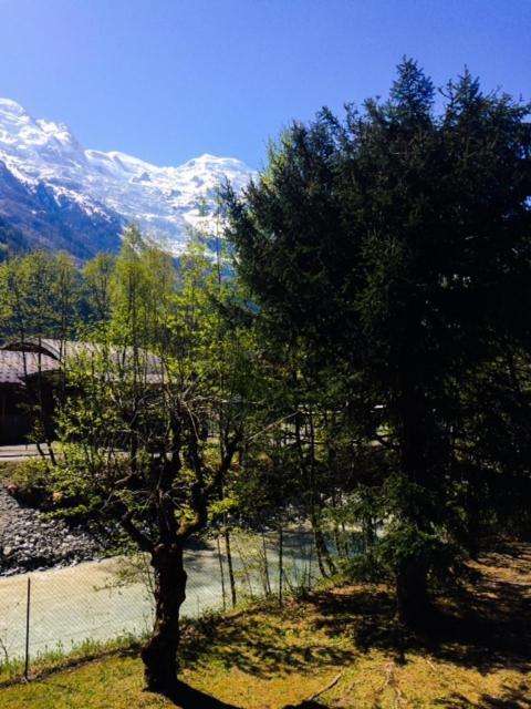 Studio Lumineux Avec Vue Sur Le Massif Du Mont-Blanc Chamonix Exterior foto